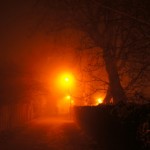 The path and the light